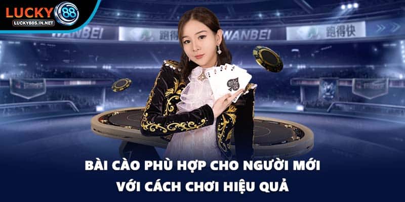 Bài Cào phù hợp cho người mới với cách chơi hiệu quả