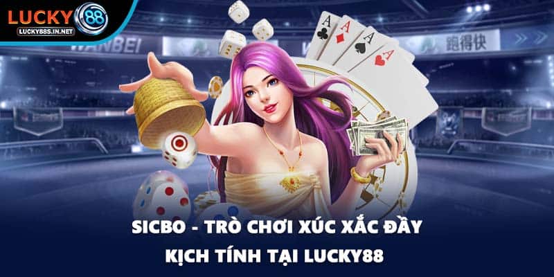Sicbo - Trò Chơi Xúc Xắc Đầy Hấp Dẫn Tại Lucky88 